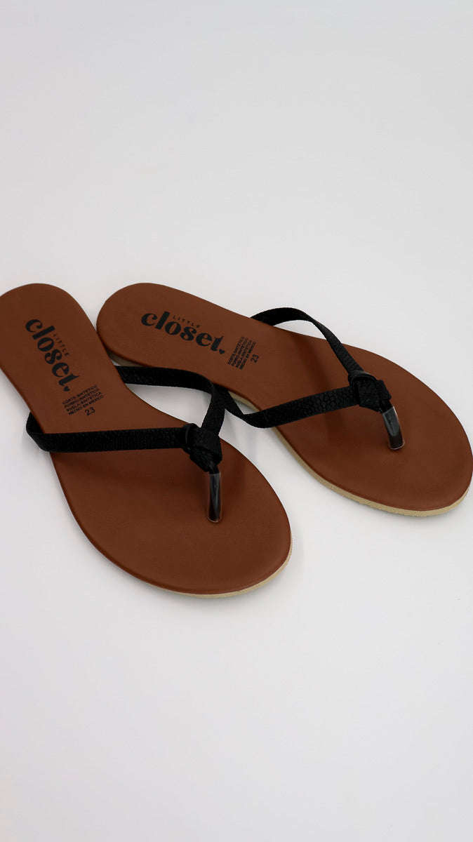 PAQUETE BASICA NBM 3 X $499