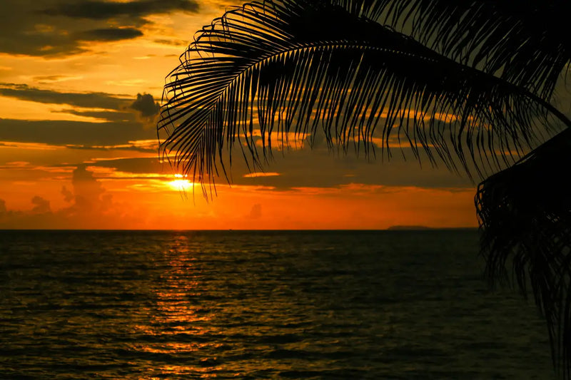 El look perfecto para ver el atardecer en el Malecón de Vallarta